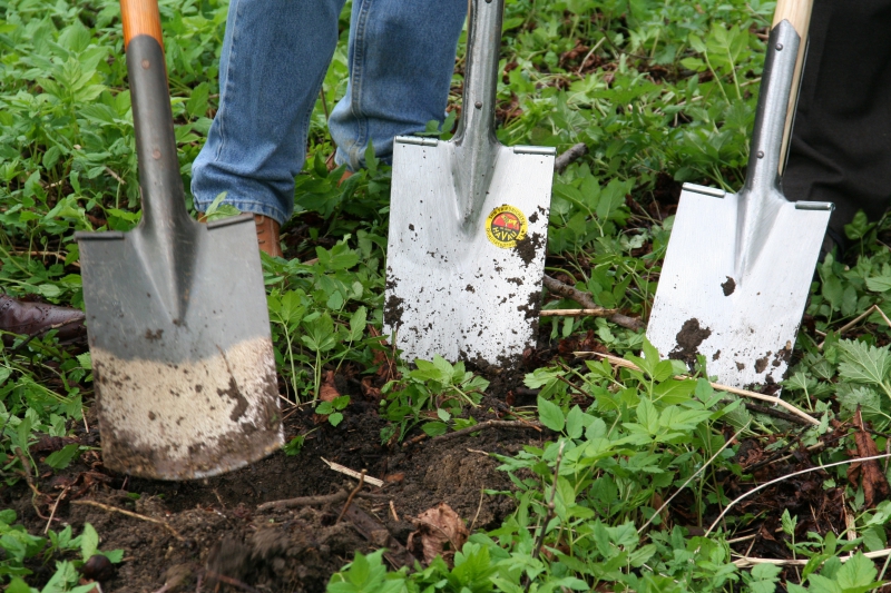 pepiniere-PIERREFEU DU VAR-min_work-lawn-flower-tool-green-backyard-1103633-pxhere.com